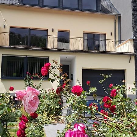 Ferienwohnung "Zum Klosterruinenblick" เคิร์ฟ ภายนอก รูปภาพ