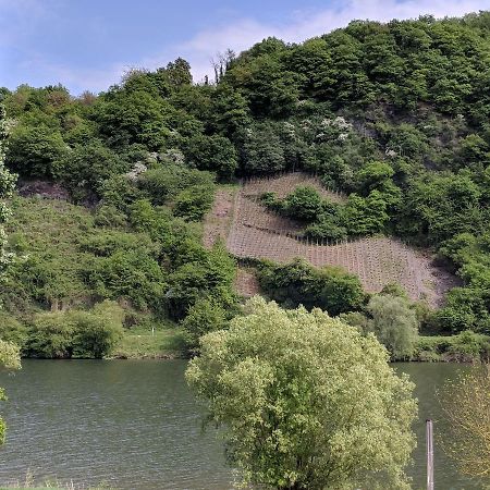 Ferienwohnung "Zum Klosterruinenblick" เคิร์ฟ ภายนอก รูปภาพ