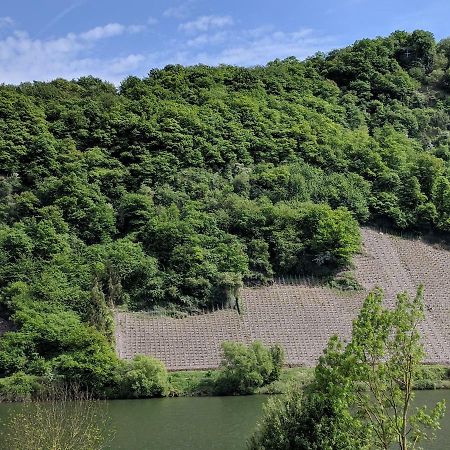 Ferienwohnung "Zum Klosterruinenblick" เคิร์ฟ ภายนอก รูปภาพ