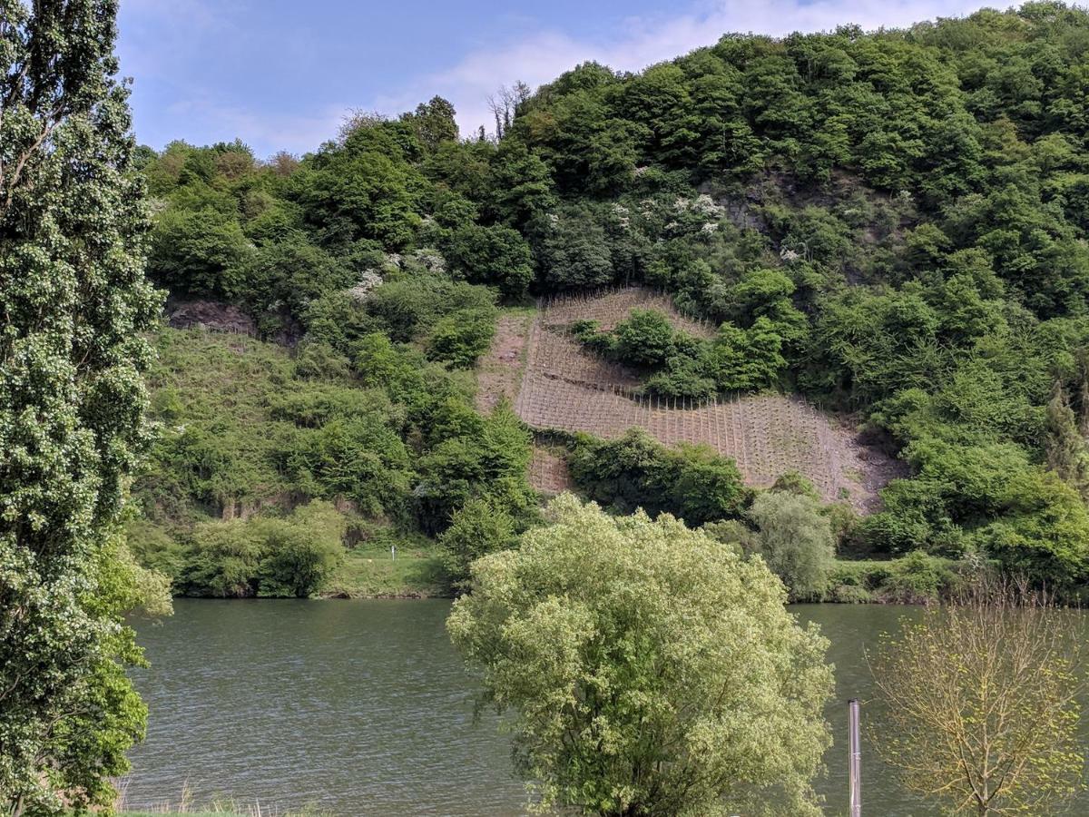 Ferienwohnung "Zum Klosterruinenblick" เคิร์ฟ ภายนอก รูปภาพ
