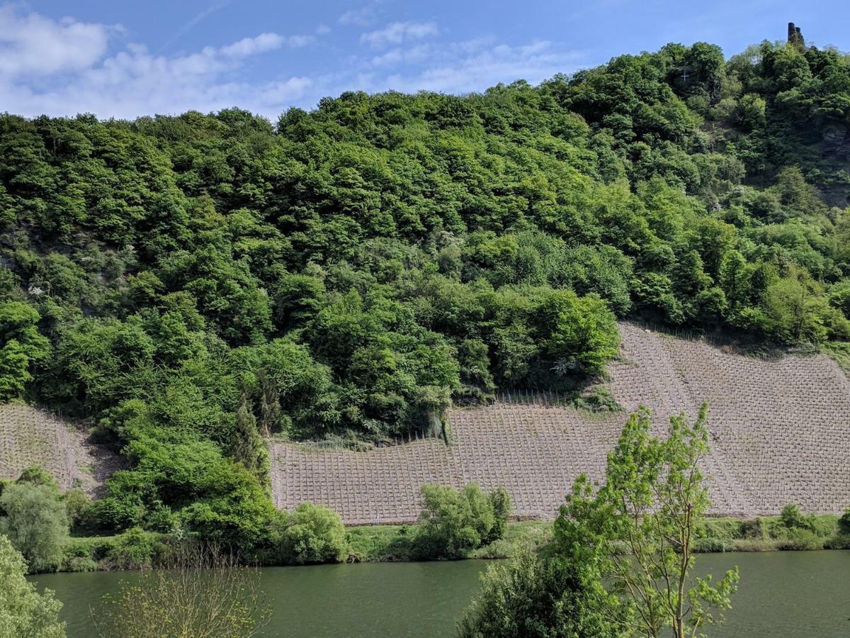 Ferienwohnung "Zum Klosterruinenblick" เคิร์ฟ ภายนอก รูปภาพ
